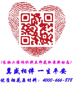 冀盛公司網站二維碼設計.jpg