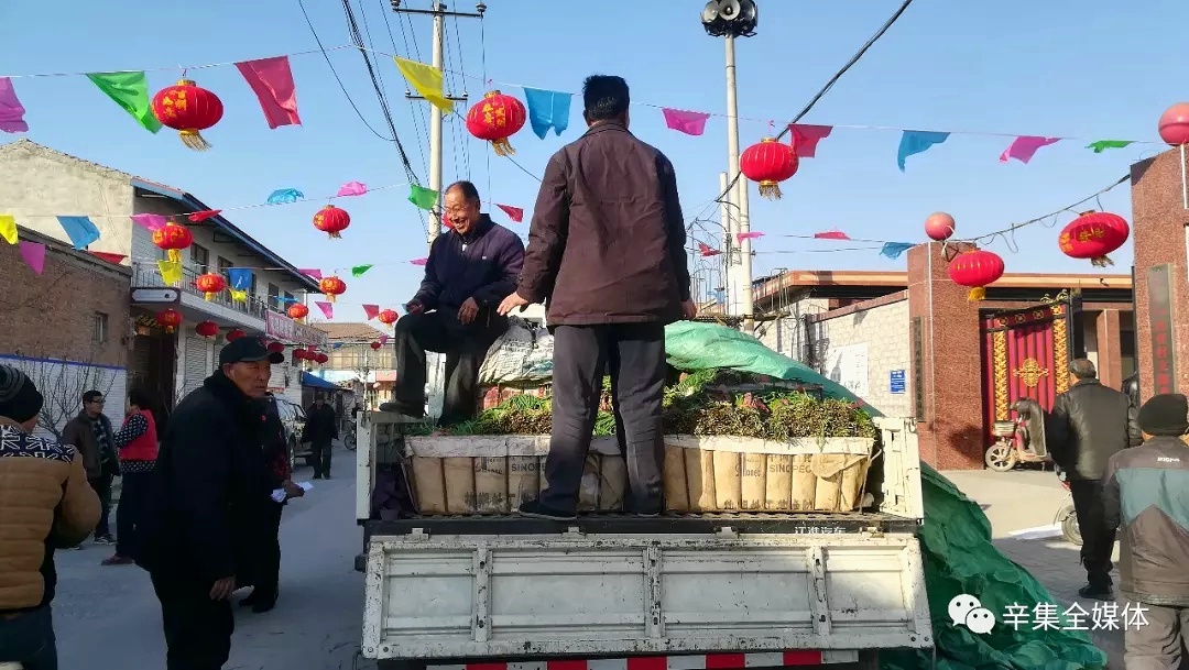 河北張立謙幫助家鄉菜農采購滯銷(xiāo)韭菜送給鄉親 (2)